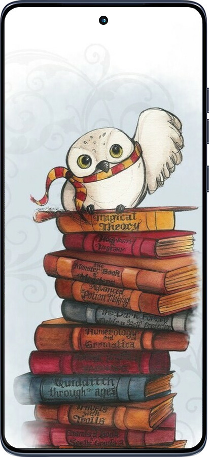 Силиконовый чехол Сова и книги для Motorola Edge 60 Fusion 5G - 6436u-4021 изображение 