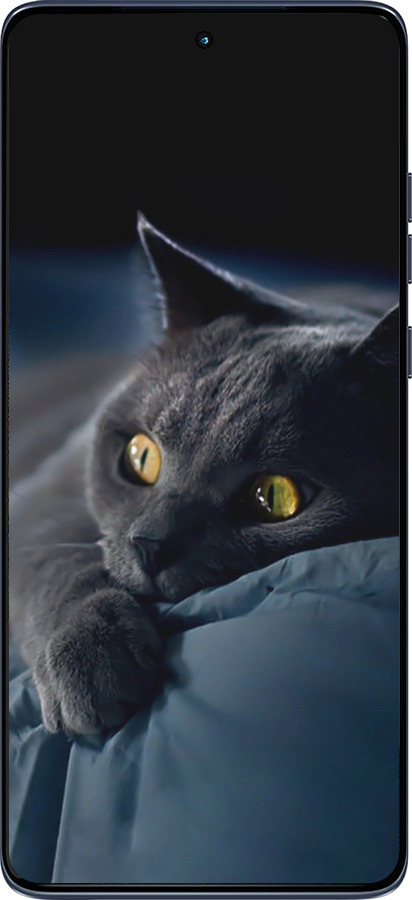 Силіконовий чехол Димчастий кіт для Motorola Edge 60 Fusion 5G - 825u-4021 изображение 