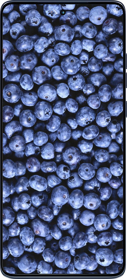 Силиконовый чехол Черника для Motorola Edge 60 Fusion 5G - 851u-4021 изображение 