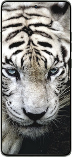 Силиконовый чехол Грустный белый тигр для Motorola Edge 60 Pro 5G - 106u-4020 изображение 