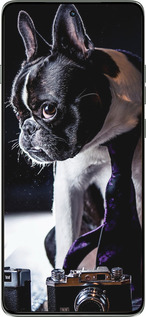 Силиконовый чехол Бульдог-фотограф для Motorola Edge 60 Pro 5G - 142u-4020 изображение 