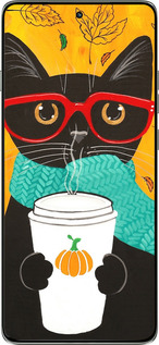 Силиконовый чехол Осенний кот для Motorola Edge 60 Pro 5G - 4026u-4020 изображение 