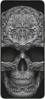 Силіконовий чехол skull-ornament для Motorola Edge 60 Pro 5G - 4101u-4020 изображение 