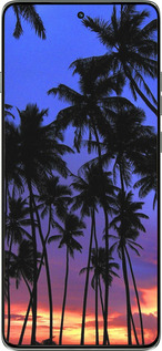 Силиконовый чехол Пальмы для Motorola Edge 60 Pro 5G - 4324u-4020 изображение 