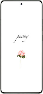 Силиконовый чехол Пион для Motorola Edge 60 Pro 5G - 4366u-4020 изображение 