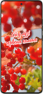 Силиконовый чехол Калина для Motorola Edge 60 Pro 5G - 5454u-4020 изображение 