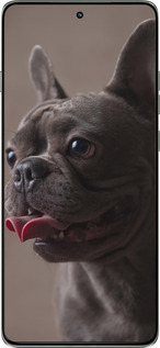 Силиконовый чехол Милый бульдог для Motorola Edge 60 Pro 5G - 5546u-4020 изображение 