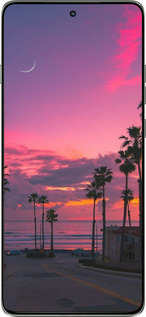 Силиконовый чехол Пальмы для Motorola Edge 60 Pro 5G - 5873u-4020 изображение 