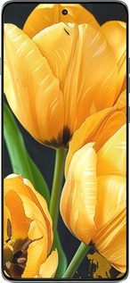 Силиконовый чехол Желтые тюльпаны для Motorola Edge 60 Pro 5G - 5991u-4020 изображение 
