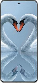 Силиконовый чехол Лебеди для Motorola Edge 60 Pro 5G - 6007u-4020 изображение 