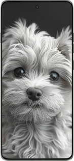 Силиконовый чехол Мальтипу на чорном фоне для Motorola Edge 60 Pro 5G - 6156u-4020 изображение 