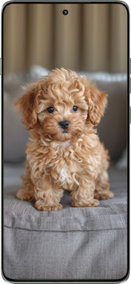 Силиконовый чехол Mini-maltipoo для Motorola Edge 60 Pro 5G - 6158u-4020 изображение 