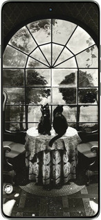 Силиконовый чехол Череп и коты для Motorola Edge 60 Pro 5G - 6432u-4020 изображение 