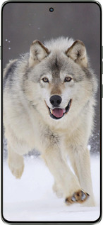 Силіконовий чехол Вовк, що біжить для Motorola Edge 60 Pro 5G - 826u-4020 изображение 