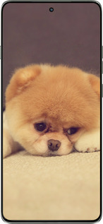 Силиконовый чехол Boo 2 для Motorola Edge 60 Pro 5G - 890u-4020 изображение 