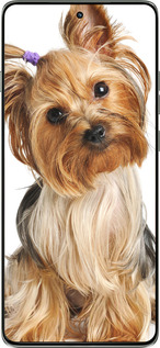 Силиконовый чехол Йоркширский терьер с хвостиком для Motorola Edge 60 Pro 5G - 930u-4020 изображение 