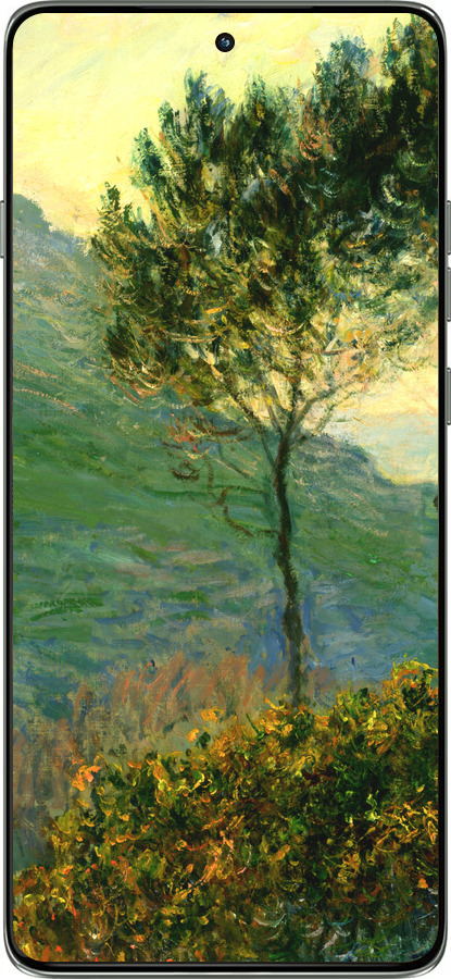 Силиконовый чехол Клод Моне для Motorola Edge 60 Pro 5G - 1193u-4020 изображение 