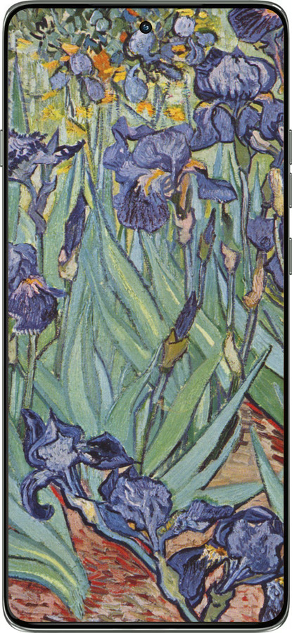 Силиконовый чехол Винсент Ван Гог. Ирисы для Motorola Edge 60 Pro 5G - 161u-4020 изображение 