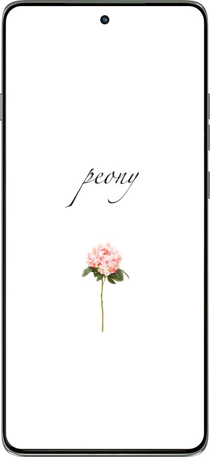 Силиконовый чехол Пион для Motorola Edge 60 Pro 5G - 4366u-4020 изображение 