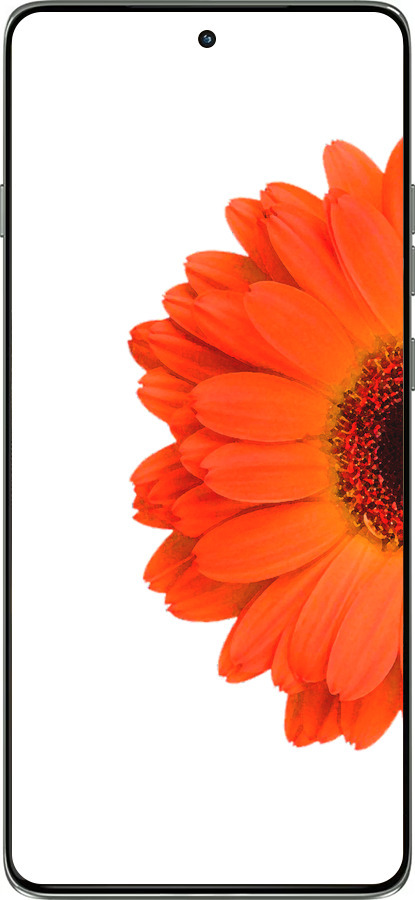 Силиконовый чехол Гербера 1 для Motorola Edge 60 Pro 5G - 4534u-4020 изображение 