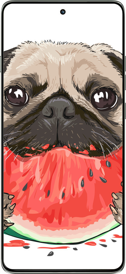 Силиконовый чехол Мопс и арбуз для Motorola Edge 60 Pro 5G - 4665u-4020 изображение 