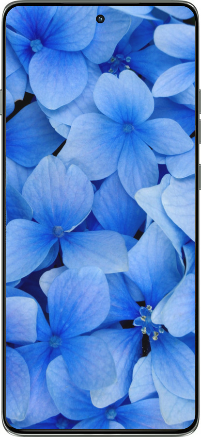 Силіконовий чехол Сині квіти для Motorola Edge 60 Pro 5G - 526u-4020 изображение 