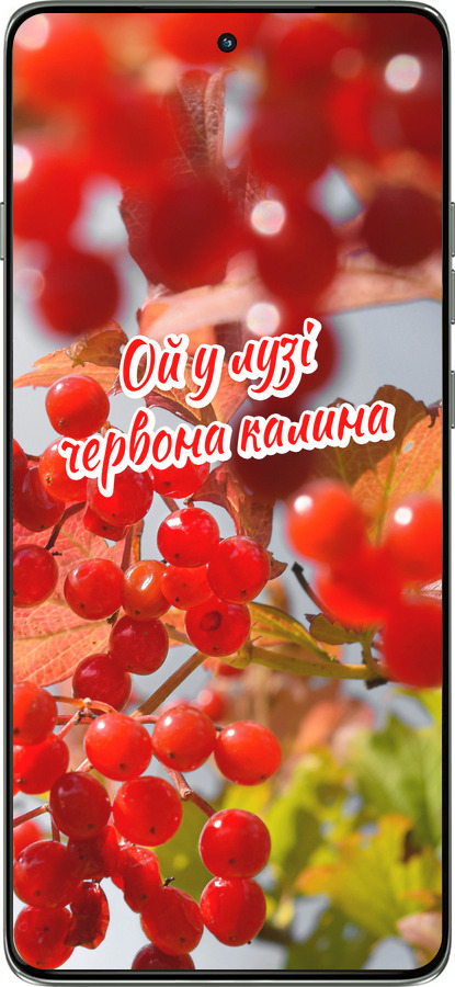 Силиконовый чехол Калина для Motorola Edge 60 Pro 5G - 5454u-4020 изображение 