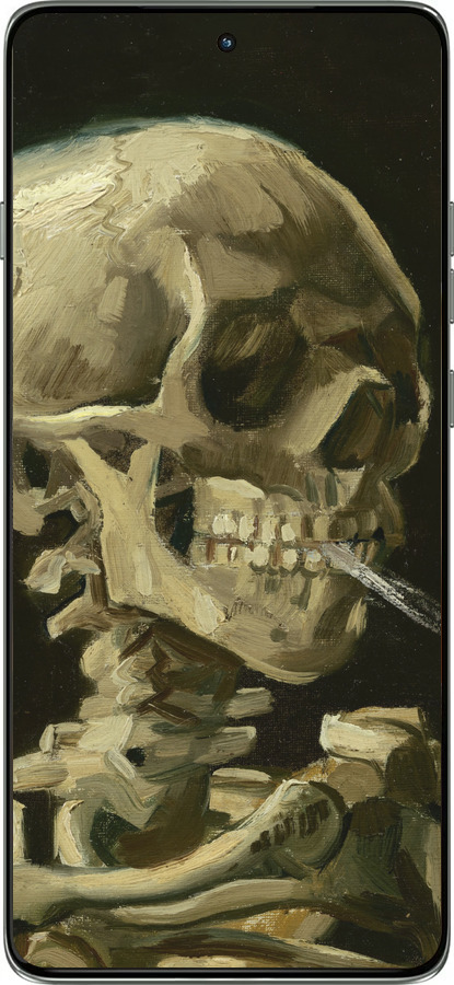 Силіконовий чехол Вінсент Ван Гог. Череп для Motorola Edge 60 Pro 5G - 5544u-4020 изображение 
