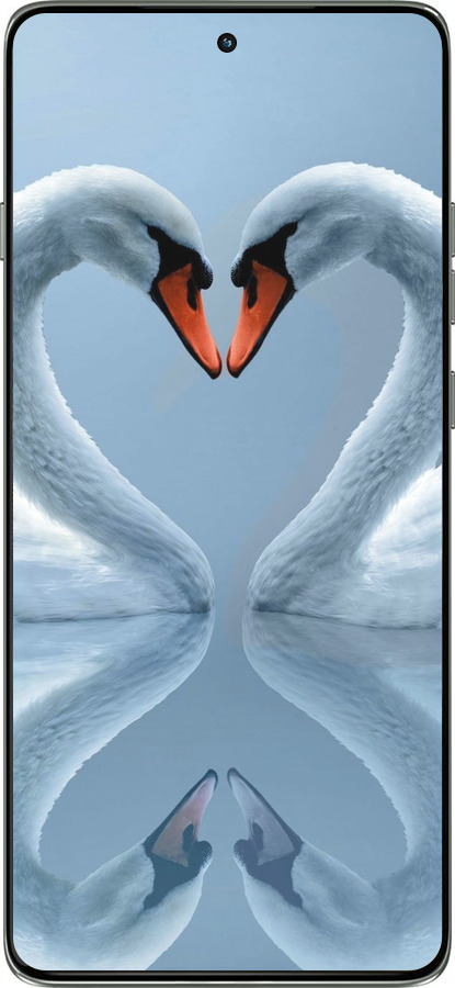 Силиконовый чехол Лебеди для Motorola Edge 60 Pro 5G - 6007u-4020 изображение 