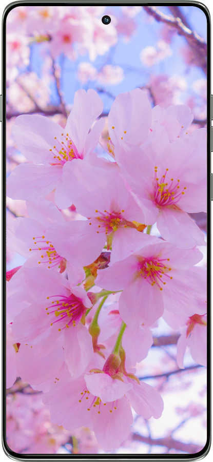 Силиконовый чехол Сакура для Motorola Edge 60 Pro 5G - 6029u-4020 изображение 