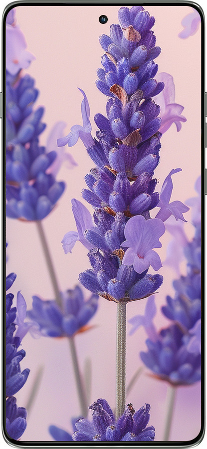 Силиконовый чехол Лаванда для Motorola Edge 60 Pro 5G - 6037u-4020 изображение 