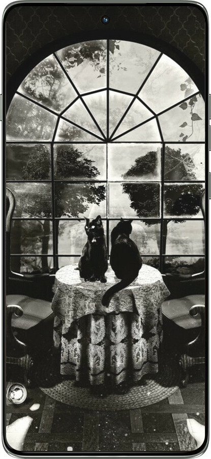 Силиконовый чехол Череп и коты для Motorola Edge 60 Pro 5G - 6432u-4020 изображение 