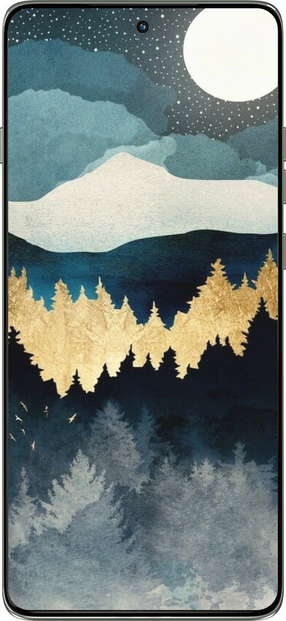 Силіконовий чехол Нічний краєвид з лісом та горами для Motorola Edge 60 Pro 5G - 6493u-4020 изображение 