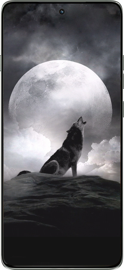 Силіконовий чехол Вовк, що виє для Motorola Edge 60 Pro 5G - 934u-4020 изображение 