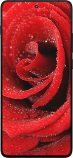 Силиконовый чехол Красная роза для Motorola EDGE 70 - 529u-4219 изображение 