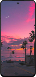 Силиконовый чехол Пальмы для Motorola EDGE 70 - 5873u-4219 изображение 