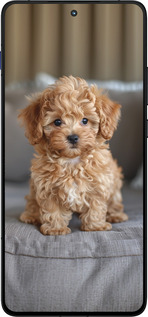 Силиконовый чехол Mini-maltipoo для Motorola EDGE 70 - 6158u-4219 изображение 