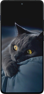 Силиконовый чехол Дымчатый кот для Motorola EDGE 70 - 825u-4219 изображение 