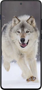 Силиконовый чехол Бегущий волк для Motorola EDGE 70 - 826u-4219 изображение 