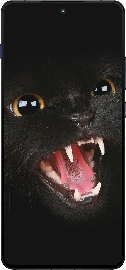 Силиконовый чехол Чёрная кошка для Motorola EDGE 70 - 932u-4219 изображение 
