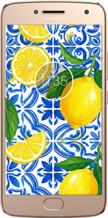 2D пластиковий чехол Grocery Girl Italian Summer для Motorola Moto G5 PLUS - 6766t-1038 изображение 