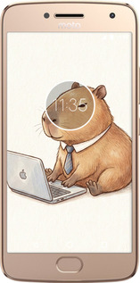 2D пластиковый чехол Funny Capybara CEO Working для Motorola Moto G5 PLUS - 6777t-1038 изображение 