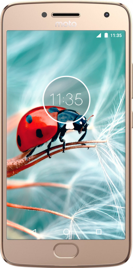 2D пластиковый чехол Божья коровка для Motorola Moto G5 PLUS - 6049t-1038 изображение 