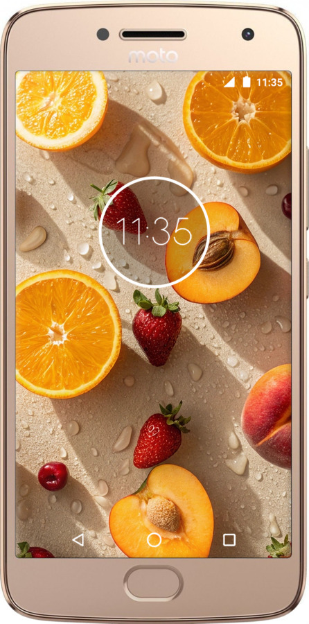2D пластиковый чехол Фрукты 3 для Motorola Moto G5 PLUS - 6703t-1038 изображение 