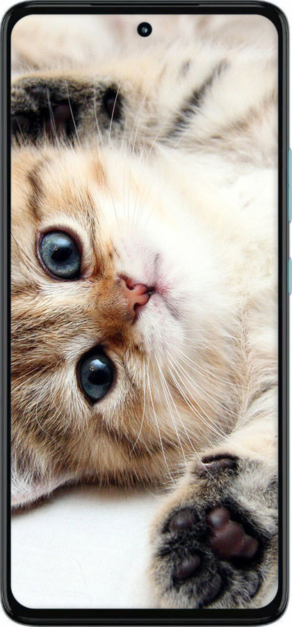 TPU чехол Котик для Motorola G72 - 6024b-2859 изображение 