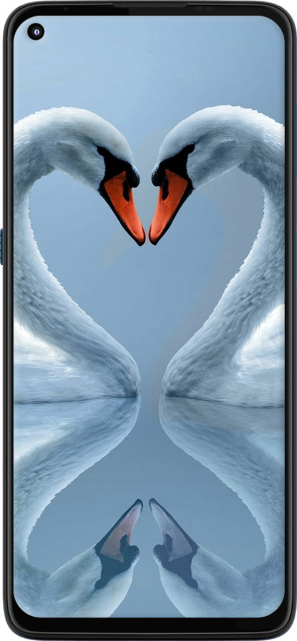 Силиконовый чехол Лебеди для Motorola G9 Plus - 6007u-2104 изображение 