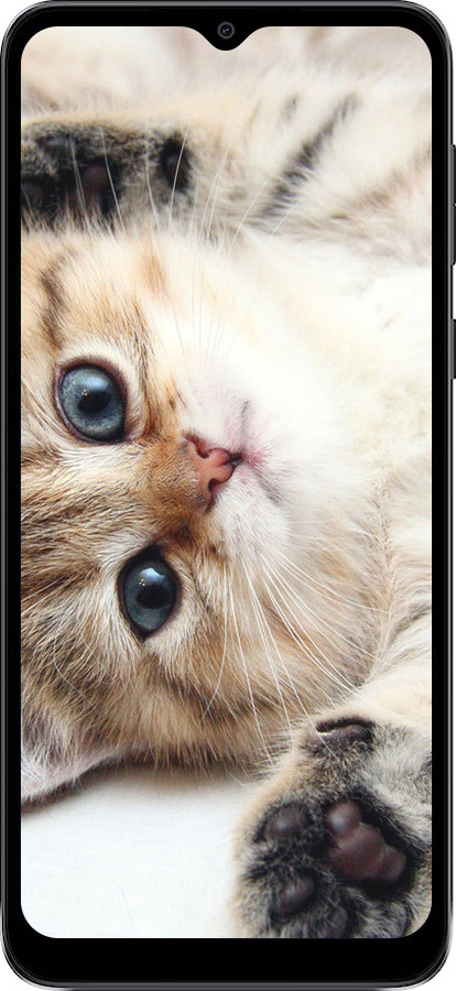 TPU чехол Котик для Motorola Moto E13 - 6024b-3053 изображение 