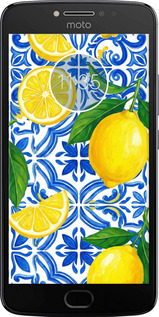 Силіконовий чехол Grocery Girl Italian Summer для Motorola Moto E4 Plus - 6766u-1000 изображение 