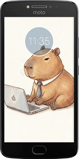 Силиконовый чехол Funny Capybara CEO Working для Motorola Moto E4 Plus - 6777u-1000 изображение 