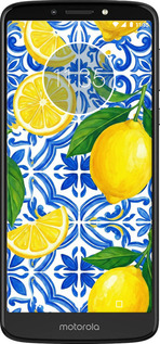 Силиконовый чехол Grocery Girl Italian Summer для Motorola Moto E5 Plus - 6766u-1412 изображение 